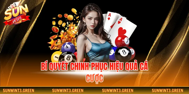 Bí quyết chinh phục hiệu quả cá cược